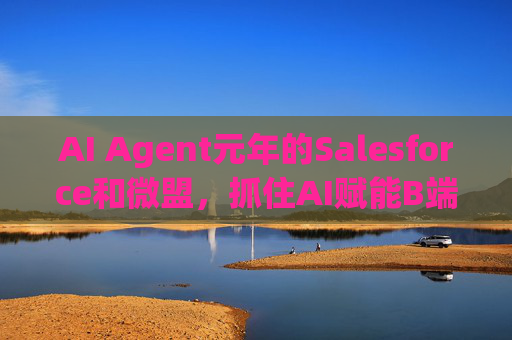 AI Agent元年的Salesforce和微盟，抓住AI赋能B端市场增长的关键趋势