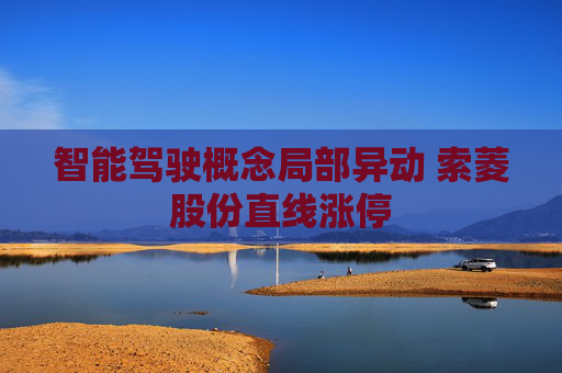 智能驾驶概念局部异动 索菱股份直线涨停