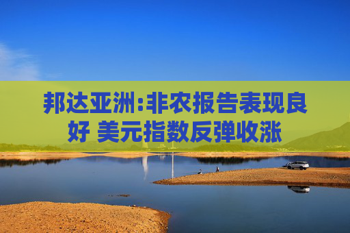 邦达亚洲:非农报告表现良好 美元指数反弹收涨