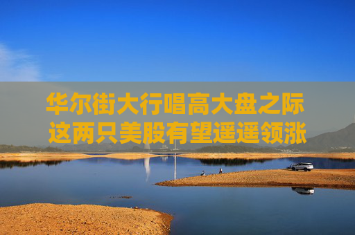 华尔街大行唱高大盘之际 这两只美股有望遥遥领涨