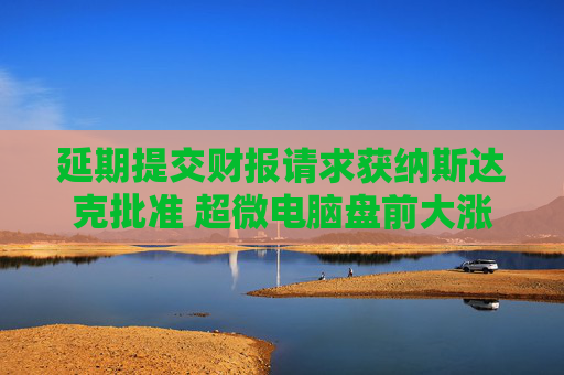 延期提交财报请求获纳斯达克批准 超微电脑盘前大涨超8%