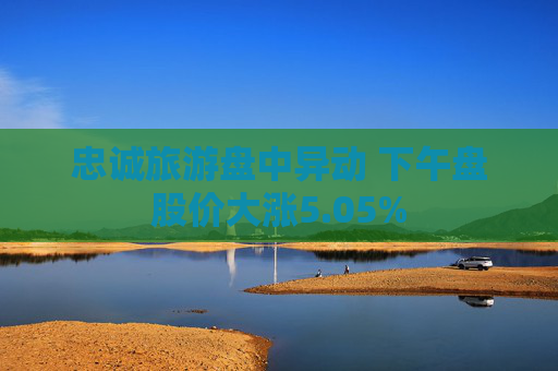 忠诚旅游盘中异动 下午盘股价大涨5.05%