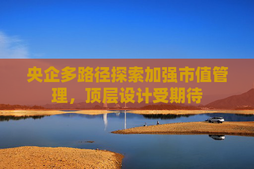 央企多路径探索加强市值管理，顶层设计受期待