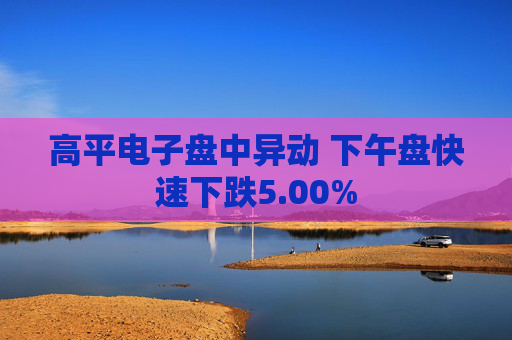 高平电子盘中异动 下午盘快速下跌5.00%