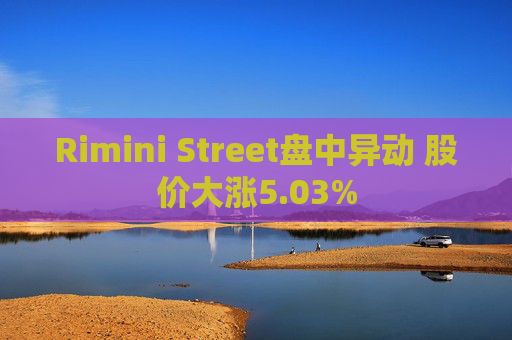 Rimini Street盘中异动 股价大涨5.03%