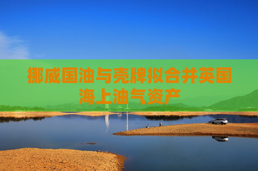 挪威国油与壳牌拟合并英国海上油气资产