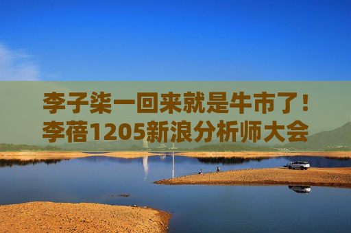 李子柒一回来就是牛市了！李蓓1205新浪分析师大会部分演讲内容！