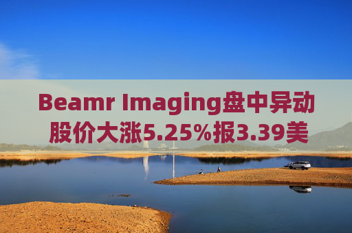 Beamr Imaging盘中异动 股价大涨5.25%报3.39美元