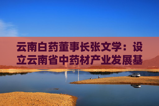 云南白药董事长张文学：设立云南省中药材产业发展基金，快速构建医药大健康产业集群