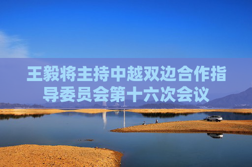 王毅将主持中越双边合作指导委员会第十六次会议