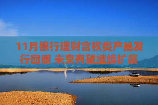 11月银行理财含权类产品发行回暖 未来有望继续扩展