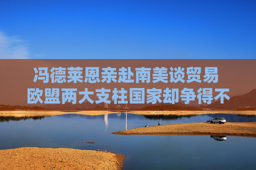 冯德莱恩亲赴南美谈贸易 欧盟两大支柱国家却争得不可开交