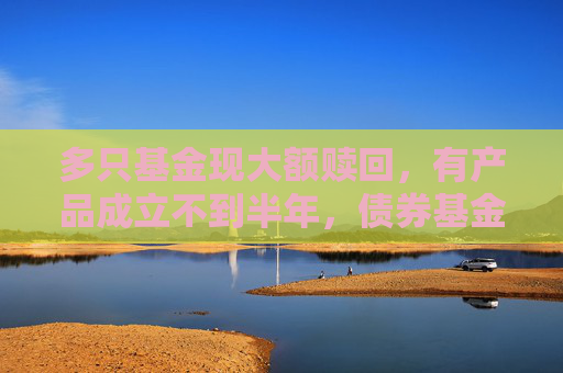 多只基金现大额赎回，有产品成立不到半年，债券基金较为多见