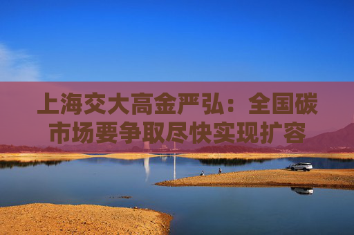 上海交大高金严弘：全国碳市场要争取尽快实现扩容
