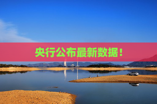 央行公布最新数据！