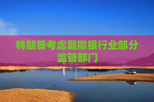特朗普考虑裁撤银行业部分监管部门