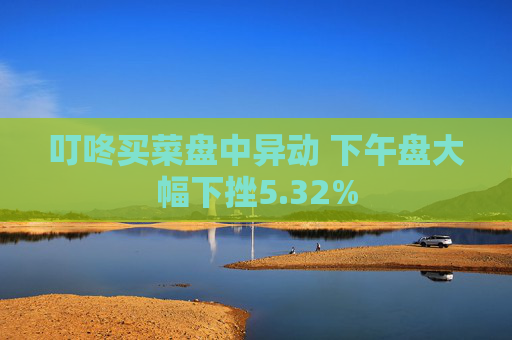 叮咚买菜盘中异动 下午盘大幅下挫5.32%