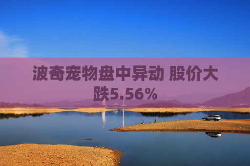 波奇宠物盘中异动 股价大跌5.56%