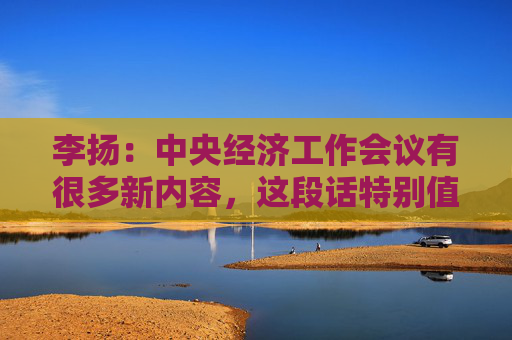 李扬：中央经济工作会议有很多新内容，这段话特别值得关注