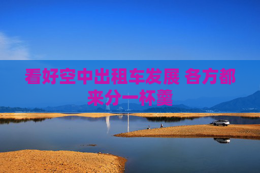看好空中出租车发展 各方都来分一杯羹