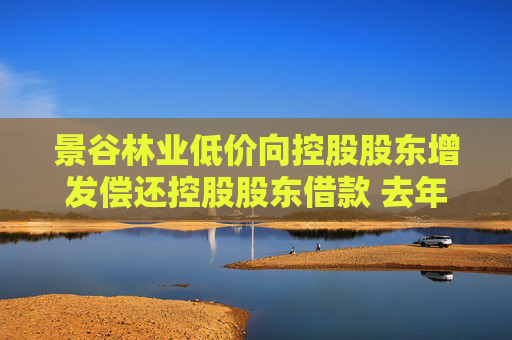 景谷林业低价向控股股东增发偿还控股股东借款 去年收购标的今年“业绩变脸”
