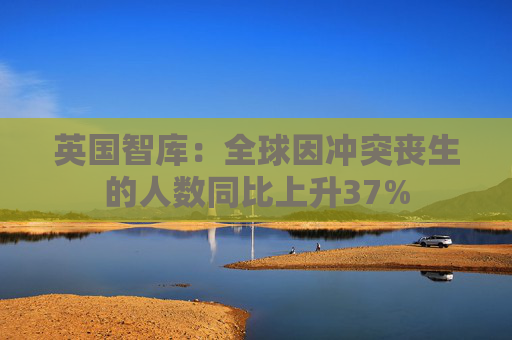 英国智库：全球因冲突丧生的人数同比上升37%