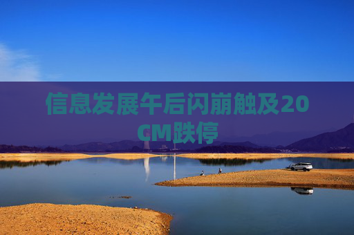 信息发展午后闪崩触及20CM跌停