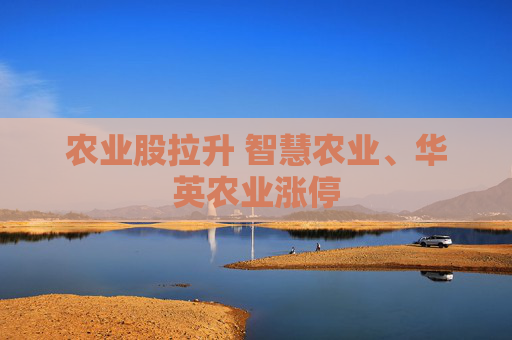 农业股拉升 智慧农业、华英农业涨停