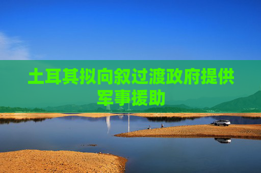 土耳其拟向叙过渡政府提供军事援助