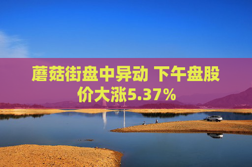 蘑菇街盘中异动 下午盘股价大涨5.37%