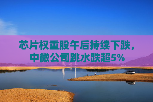 芯片权重股午后持续下跌，中微公司跳水跌超5%