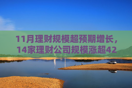 11月理财规模超预期增长，14家理财公司规模涨超4200亿元