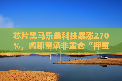 芯片黑马乐鑫科技暴涨270%，睿郡董承非重仓“押宝”成功