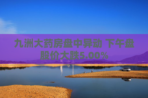 九洲大药房盘中异动 下午盘股价大跌5.00%