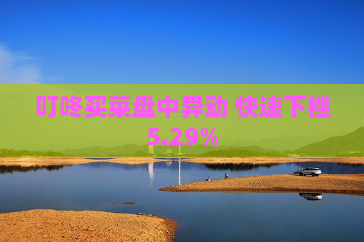 叮咚买菜盘中异动 快速下挫5.29%