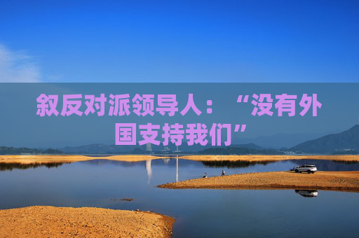 叙反对派领导人：“没有外国支持我们”