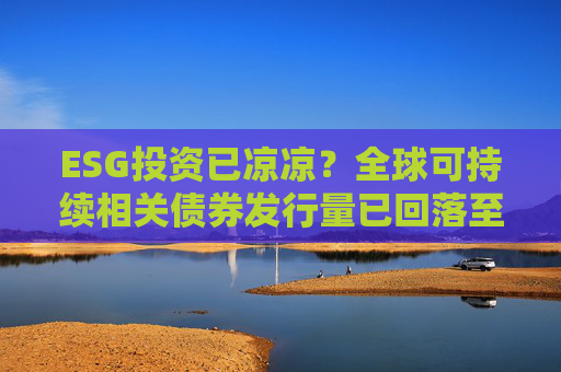ESG投资已凉凉？全球可持续相关债券发行量已回落至四年新低