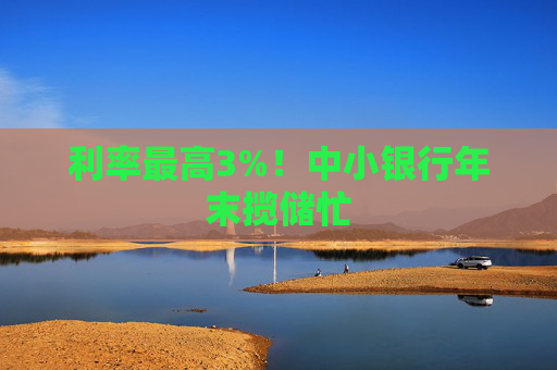 利率最高3%！中小银行年末揽储忙