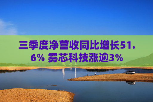 三季度净营收同比增长51.6% 雾芯科技涨逾3%