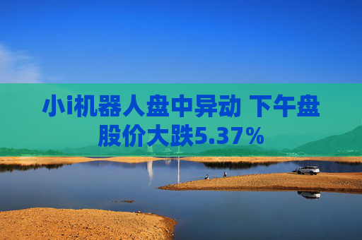 小i机器人盘中异动 下午盘股价大跌5.37%