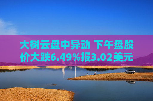 大树云盘中异动 下午盘股价大跌6.49%报3.02美元