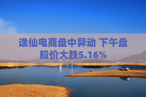 逸仙电商盘中异动 下午盘股价大跌5.16%