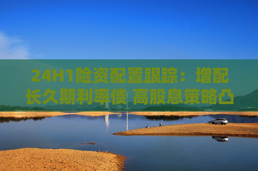 24H1险资配置跟踪：增配长久期利率债 高股息策略凸显