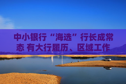 中小银行“海选”行长成常态 有大行履历、区域工作背景者受青睐