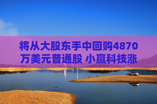将从大股东手中回购4870万美元普通股 小赢科技涨逾7%
