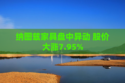 纳图兹家具盘中异动 股价大涨7.95%