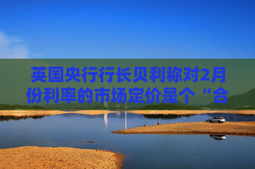 英国央行行长贝利称对2月份利率的市场定价是个“合理的起点”