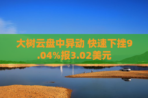 大树云盘中异动 快速下挫9.04%报3.02美元