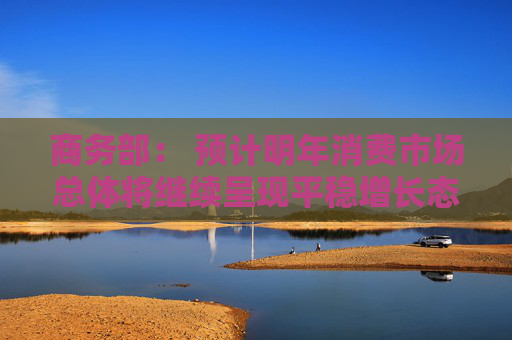 商务部： 预计明年消费市场总体将继续呈现平稳增长态势