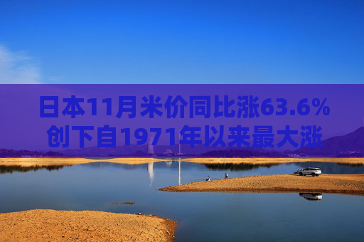 日本11月米价同比涨63.6% 创下自1971年以来最大涨幅